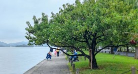 鲁沪大战泰山队球迷情绪高涨 裁判阵容公正执法引关注